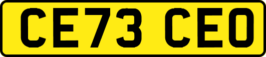 CE73CEO