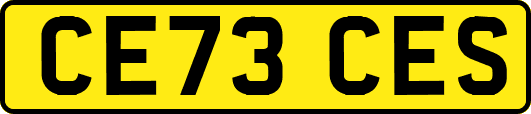 CE73CES
