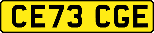 CE73CGE