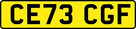 CE73CGF