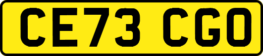 CE73CGO