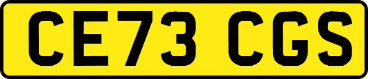CE73CGS