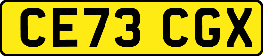 CE73CGX