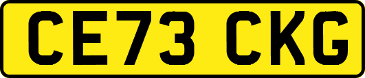 CE73CKG