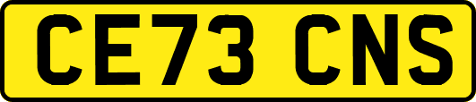 CE73CNS