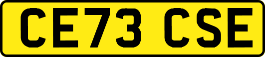 CE73CSE