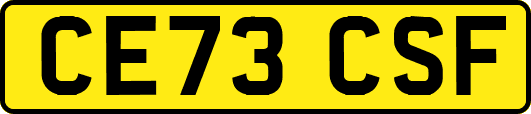 CE73CSF