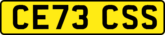 CE73CSS