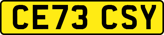 CE73CSY