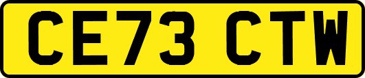 CE73CTW
