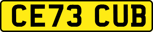 CE73CUB