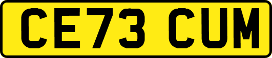 CE73CUM