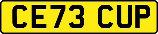 CE73CUP