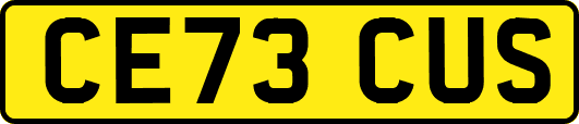 CE73CUS