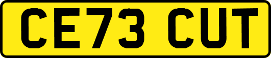 CE73CUT