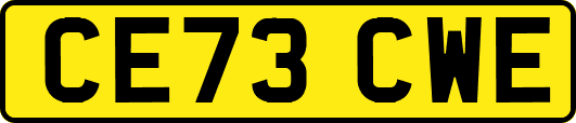 CE73CWE