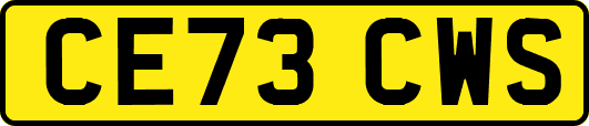 CE73CWS