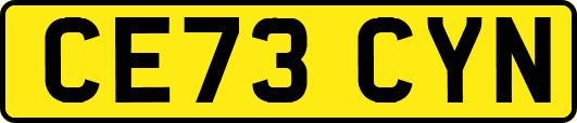CE73CYN