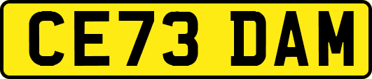 CE73DAM