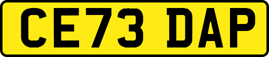 CE73DAP