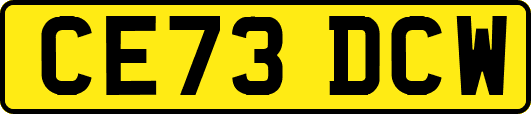 CE73DCW