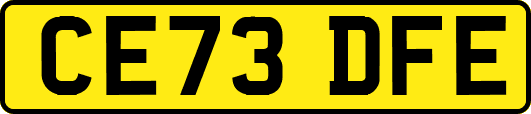 CE73DFE