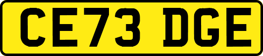 CE73DGE