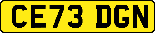 CE73DGN