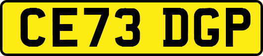 CE73DGP
