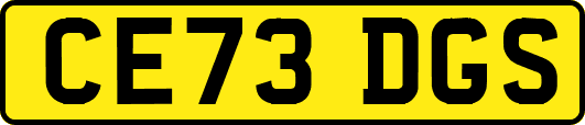 CE73DGS