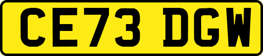 CE73DGW