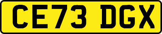 CE73DGX