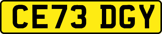 CE73DGY