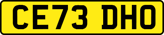 CE73DHO