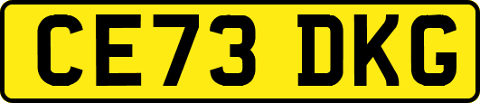CE73DKG