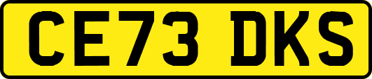 CE73DKS