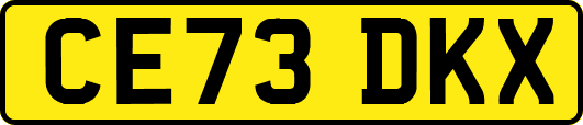 CE73DKX