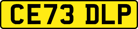 CE73DLP
