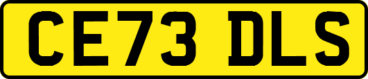 CE73DLS