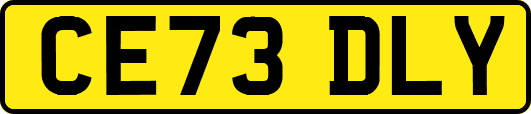 CE73DLY