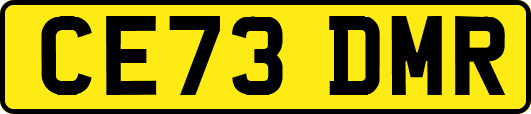 CE73DMR