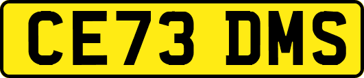 CE73DMS