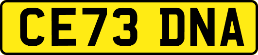 CE73DNA