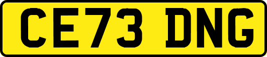 CE73DNG