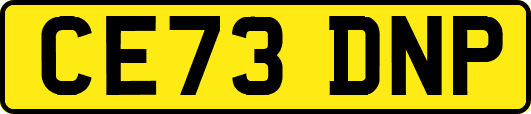 CE73DNP