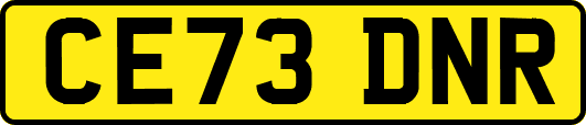 CE73DNR
