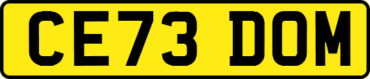 CE73DOM
