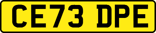CE73DPE