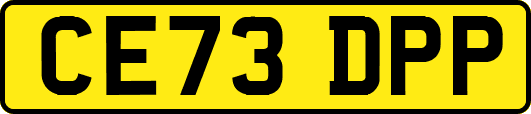 CE73DPP