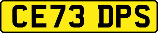 CE73DPS